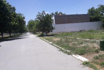 Lote de Terreno en  Fraccionamiento San Armando, Torreón