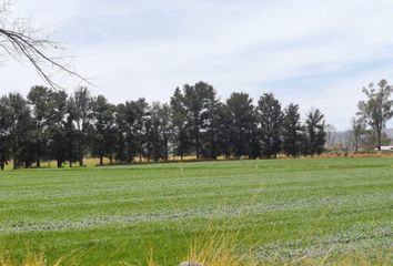 Lote de Terreno en  Pabellón De Arteaga, Aguascalientes, Mex