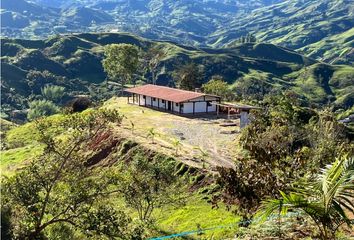 Villa-Quinta en  San Andrés De Cuerquia, Antioquia