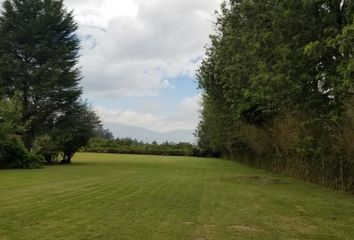 Terreno Comercial en  Puembo, Quito, Ecuador