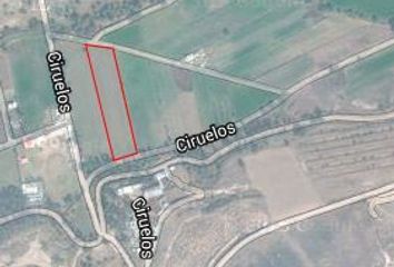 Lote de Terreno en  Calle Ciruelos, Lomas Del Rosario, Cuautitlán Izcalli, México, 54710, Mex