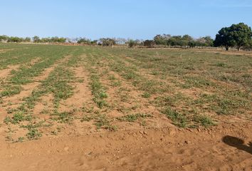 Lote de Terreno en  Santa María Colotepec, Oaxaca, Mex