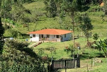 Villa-Quinta en  Poblado, Medellín