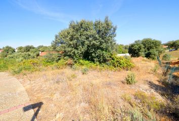 Terreno en  Carrascal De Barregas, Salamanca Provincia