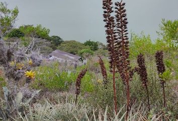 Terreno Comercial en  Ibarra, Ecuador