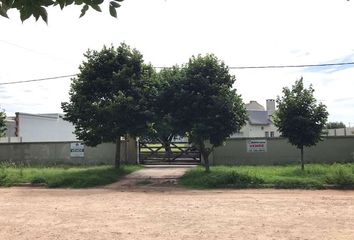 Casa en  Partido De Florentino Ameghino, Buenos Aires (fuera De Gba)