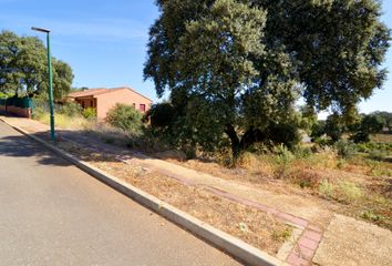 Terreno en  Carrascal De Barregas, Salamanca Provincia