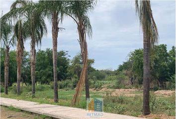 Lote de Terreno en  Campestre Los Laureles, Culiacán