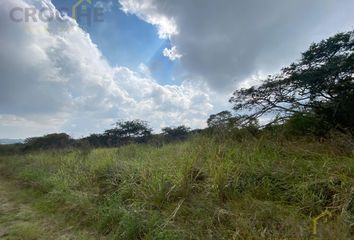 Lote de Terreno en  El Lencero, Municipio De Emiliano Zapata (veracruz)