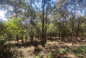 Lote de Terreno en  Bosques De Huitepec, San Cristóbal De Las Casas