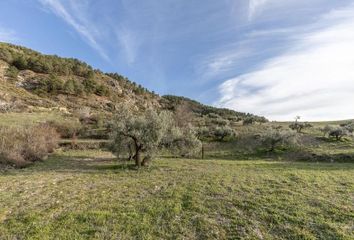 Terreno en  Cajar, Granada Provincia
