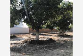 Lote de Terreno en  Los Viñedos, Torreón