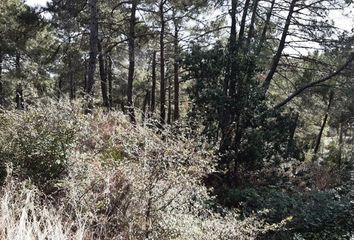Terreno en  Cadalso De Los Vidrios, Madrid Provincia