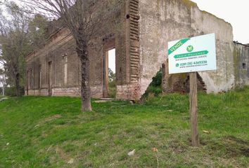 Terrenos en  El Perdido, Partido De Coronel Dorrego