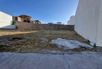 Lote de Terreno en  Desarrollo Del Pedregal, San Luis Potosí