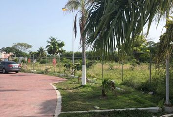 Lote de Terreno en  Calle 35, Carmen Centro, Carmen, Campeche, 24100, Mex