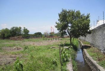 Lote de Terreno en  Pueblo Atlacholoaya, Xochitepec, Morelos