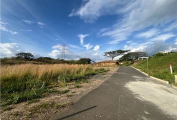 Lote de Terreno en  Cerritos, Pereira