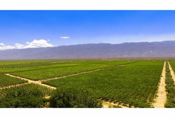 Terrenos en  Chilecito, La Rioja