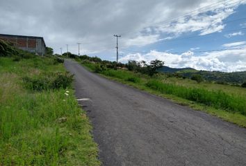 Vendo terreno de 1.6 hectáreas camino a Cerro verde en Morelia, Michoacan.