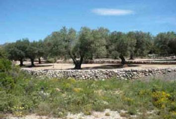 Terreno en  Canet Lo Roig, Castellón Provincia