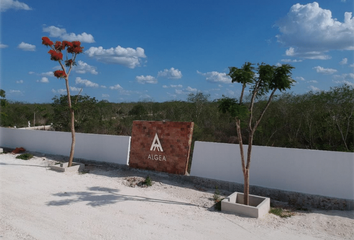 Lote de Terreno en  Yaxkukul, Yucatán