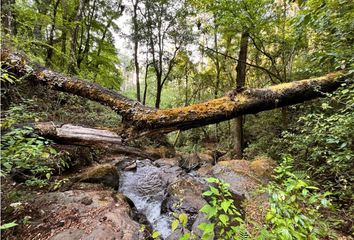 Lote de Terreno en  Avándaro, Valle De Bravo