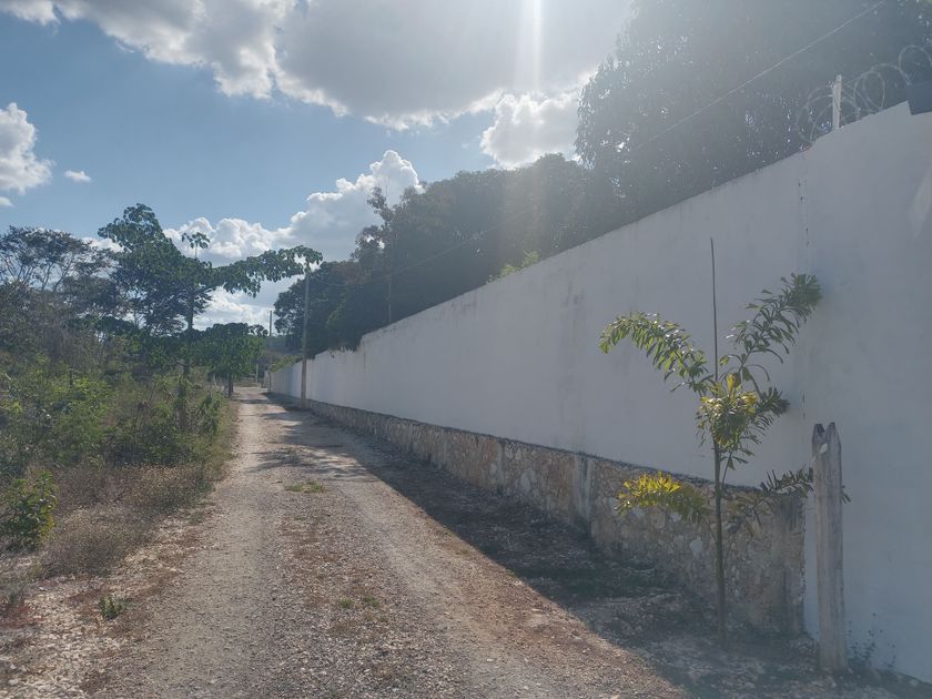 Terreno sobre carretera en Castamay Campeche.