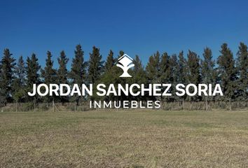 Terrenos en  El Campo - Fincas Exclusivas Cardales, Partido De Campana