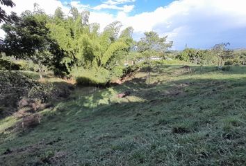 Lote de Terreno en  Centro, Manizales