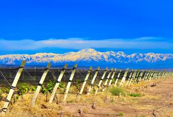 Terrenos en  Luján De Cuyo, Mendoza