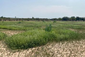 Terreno en  La Marina, Alicante Provincia