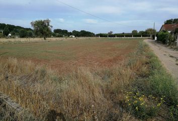 Terreno en  Ciudad Rodrigo, Salamanca Provincia