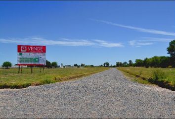 Terrenos en  Lisandro Olmos, Partido De La Plata