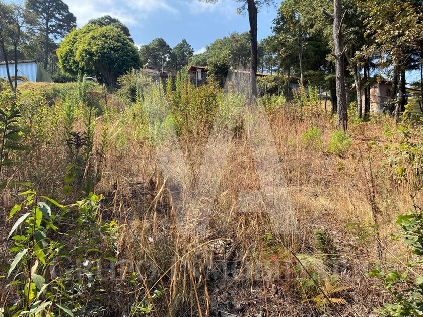 venta Lote de Terreno en Colonia Mazamitla, Mazamitla (pOVTJoi_SALE