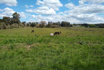 Terrenos en  Rn226, Provincia De Buenos Aires, Argentina