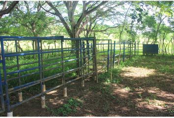 Finca/Hacienda en  Potuga, Parita