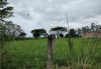 Lote de Terreno en  Colombia, Palmira