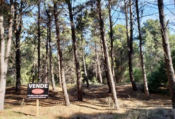 Terrenos en  Otro, Monte Hermoso