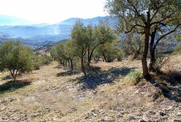 Terreno en  Piñar, Granada Provincia
