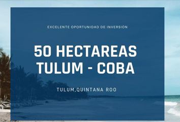 Lote de Terreno en  Coba, Tulum