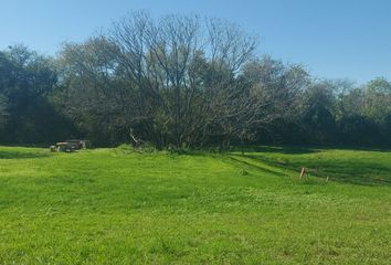 Lote de Terreno en  Montemorelos Centro, Montemorelos