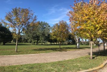 Terrenos en  Los Acantilados, Mar Del Plata