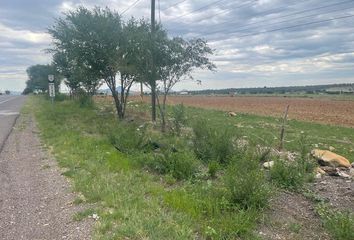 Lote de Terreno en  Tierra Nueva 2a Etapa, Cuauhtémoc, Chihuahua