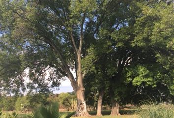 Lote de Terreno en  Hidalgo, Ejido Tierra Blanca De Abajo, San Miguel De Allende, Guanajuato, 37893, Mex