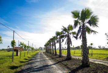 Terrenos en  Uribelarrea, Partido De Cañuelas