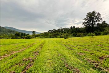 Lote de Terreno en  Avándaro, Valle De Bravo