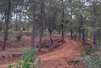 Lote de Terreno en  Colonia Mazamitla, Mazamitla