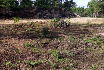 Lote de Terreno en  Lomas De Acolapan, Tepoztlán