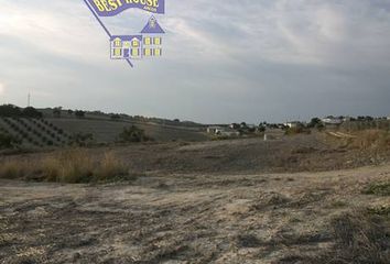 Terreno en  Arcos De La Frontera, Cádiz Provincia